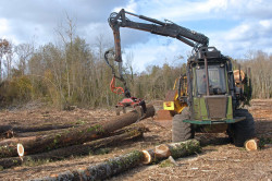 Déblaiement rapide de chantier